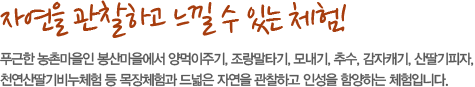 자연을 관찰하고 느낄 수 있는 체험! 푸근한 농촌마을인 봉산마을에서 모내기, 추수, 감자 캐기 등의 농사체험과 드넓은 자연을 관찰하고 마음껏 뛰놀 수 있는 체험입니다. 