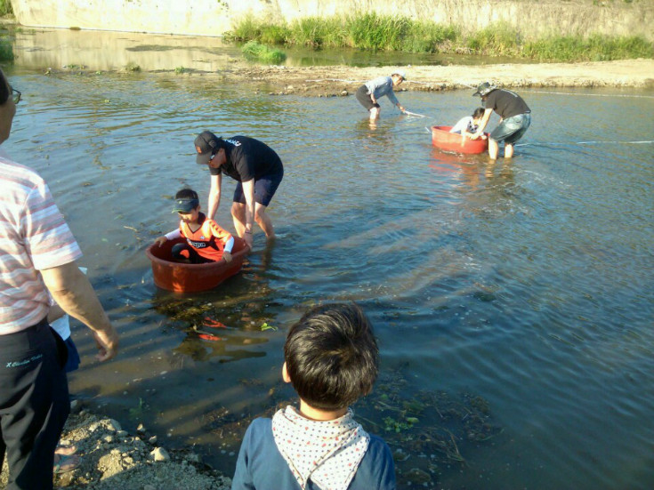 봉산체험장 앞 물고기 잡..