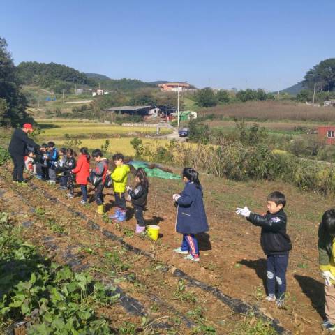 10/30 연무합기도 수확체..