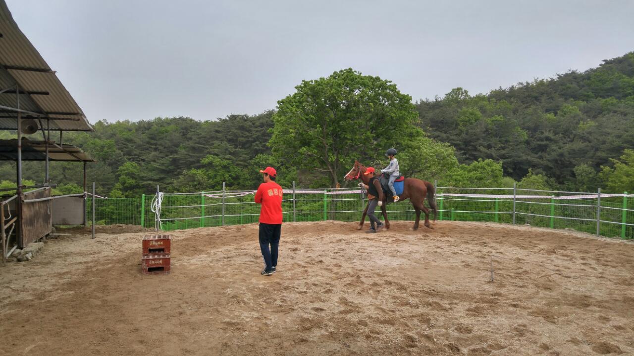 [연중상시체험]조랑말타기체험